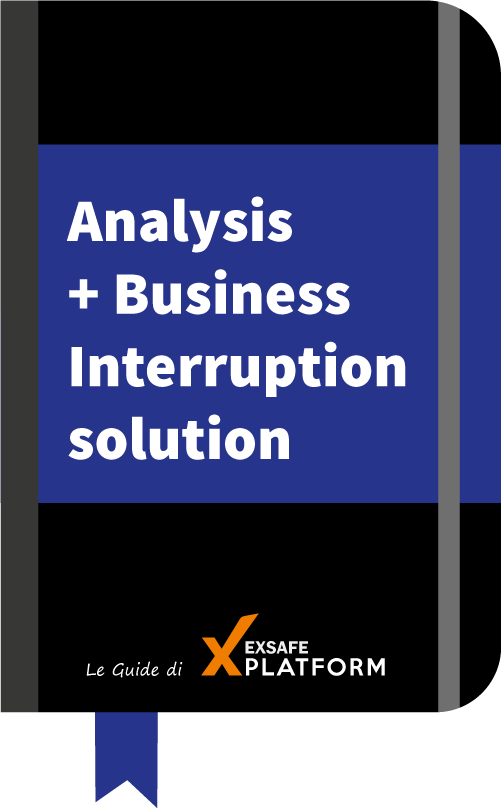 Analyse + Geschäftsunterbrechungslösung