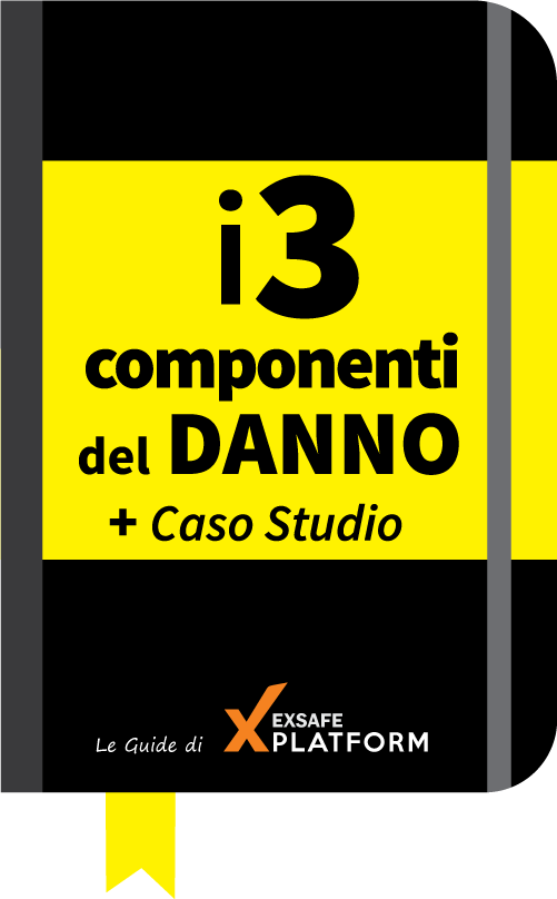 I 3 componenti del danno