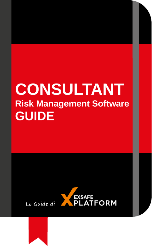 Risk Management Software for Consultant