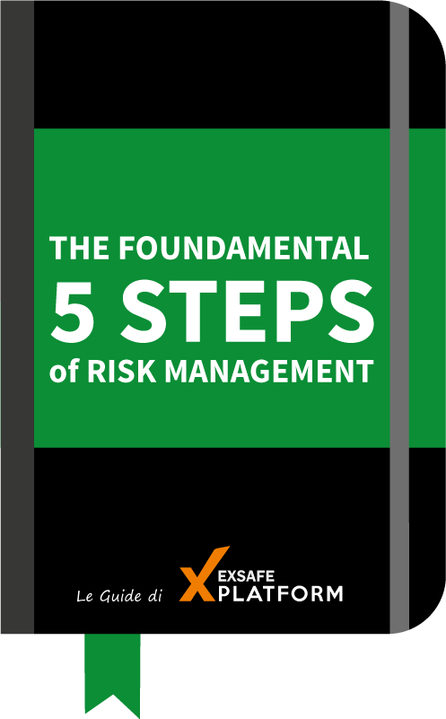 The fundamental 5 STEPS of RISK Management