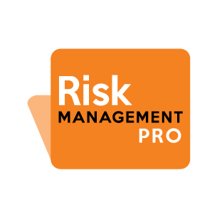 Risk Management lite